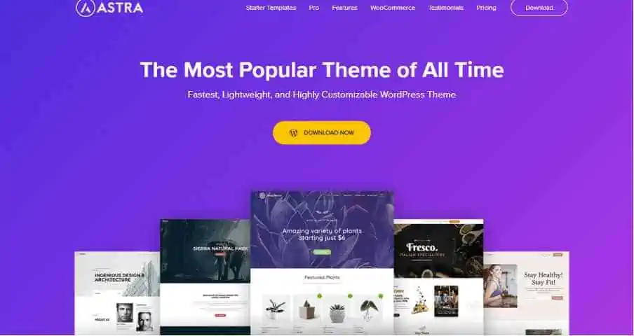 WPAstra Overview