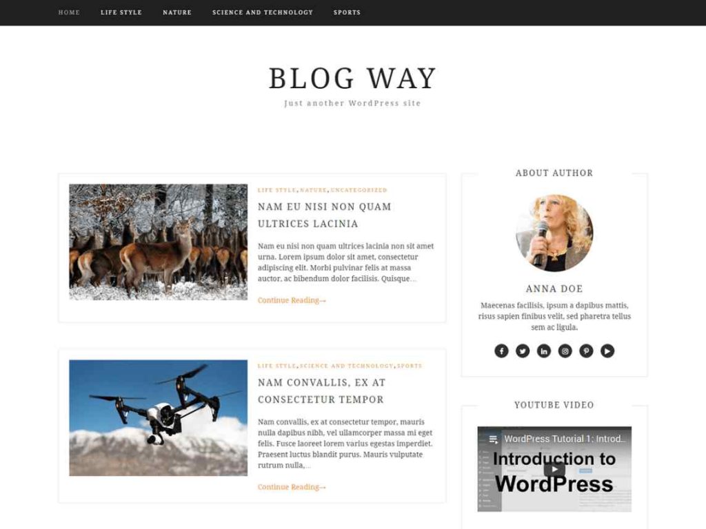 blog_way Overview