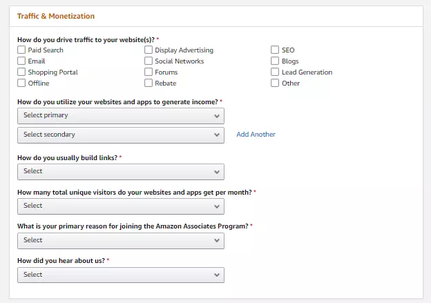 Website's traffic and monetization
