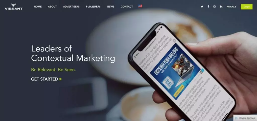 Vibrant Media Overview