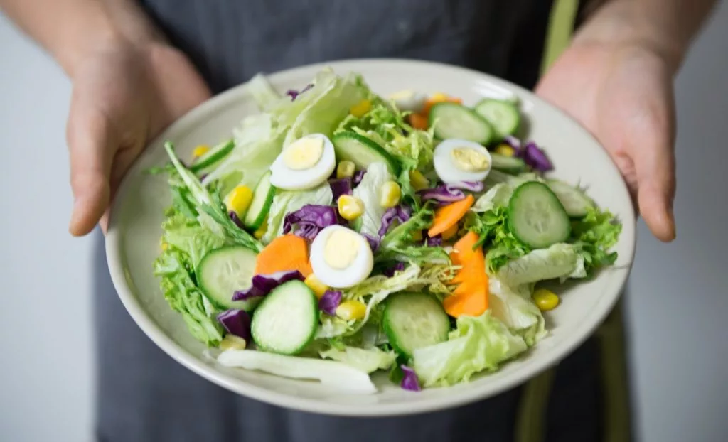 Diet Plan Niche