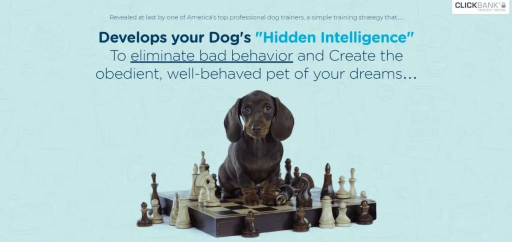 Brain Training for Dogs