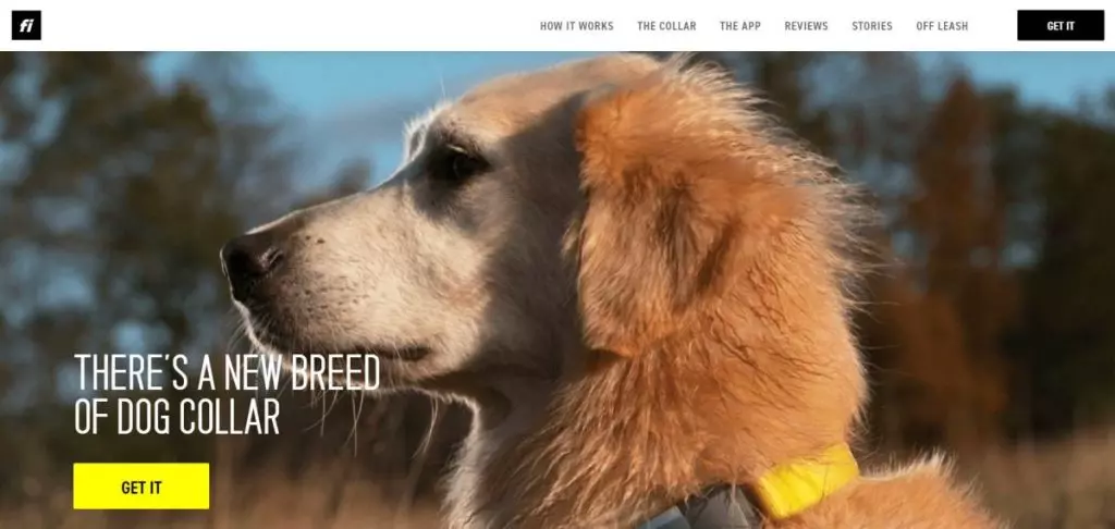 Fi Smart Dog Collar