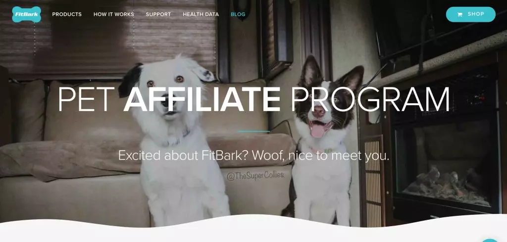  FitBark