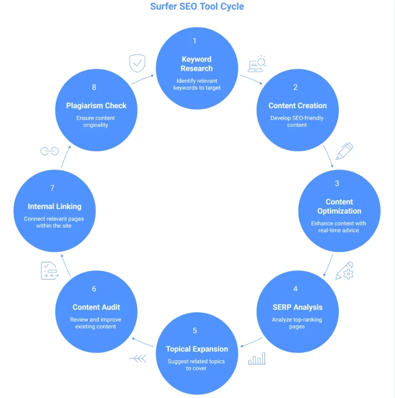 Surfer seo tool cycle
