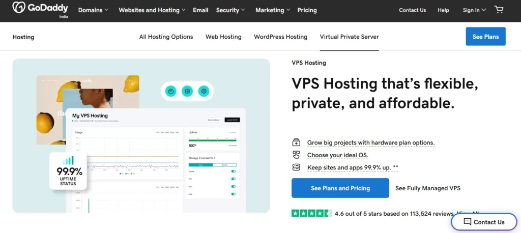 GoDaddy VPS Hosting
