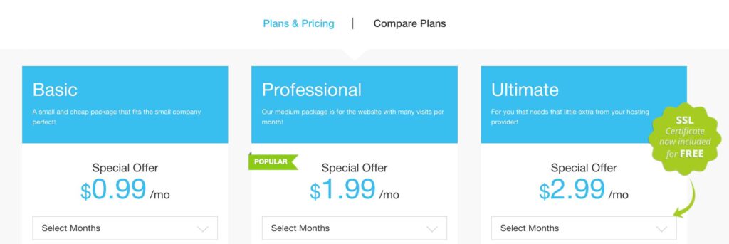 Miss Hosting Pricing Plans