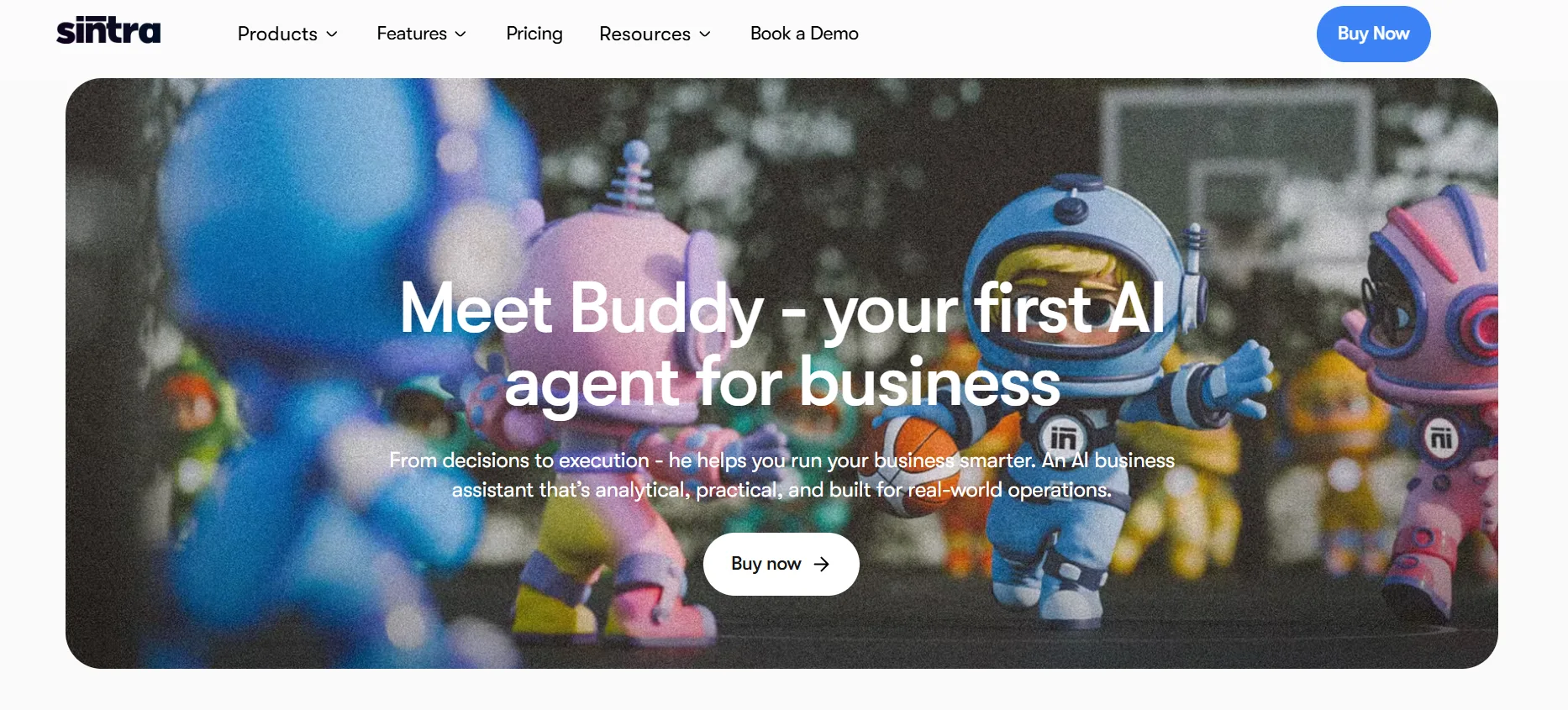 Buddy Business Development
