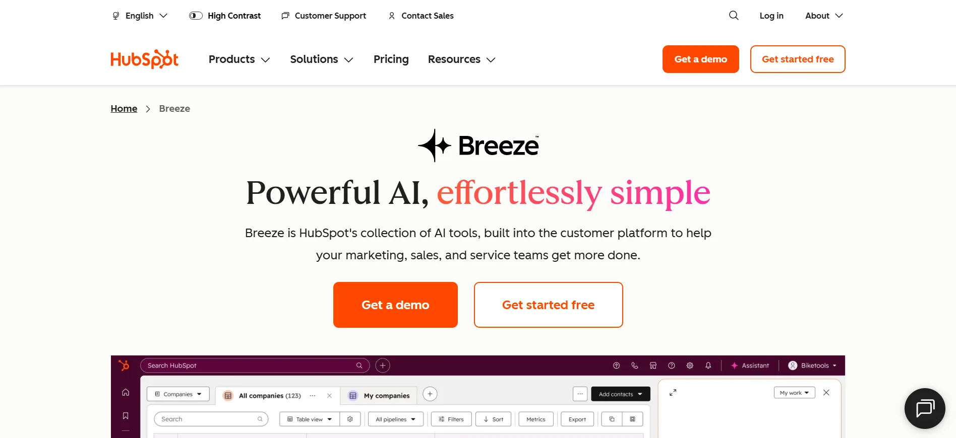 HubSpot AI