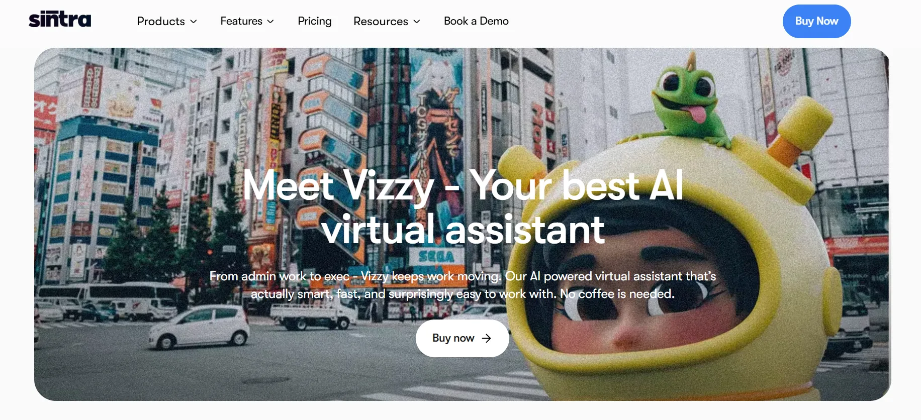 Vizzy Executive Virtual Assistant