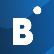 BidVertiser logo